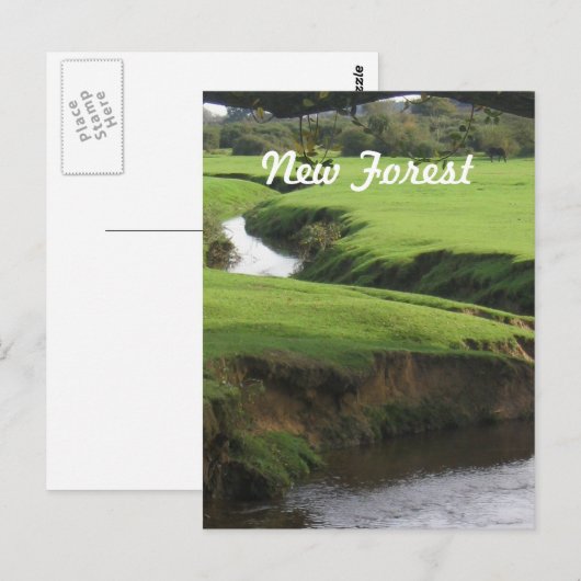 Nieuw bos briefkaart (Voorkant / Achterkant)