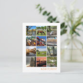 Nieuw bos briefkaart (Staand voorkant)