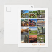 Nieuw bos briefkaart (Voorkant / Achterkant)