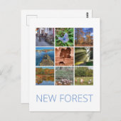 Nieuw bos briefkaart (Voorkant / Achterkant)