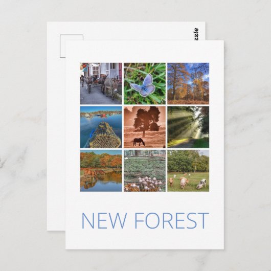 Nieuw bos briefkaart (Voorkant / Achterkant)