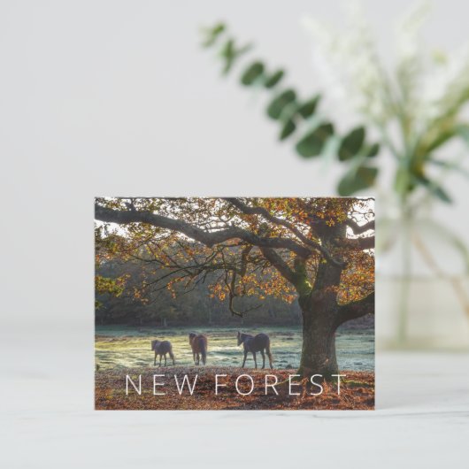 Nieuw bos briefkaart (Staand voorkant)