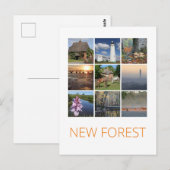 Nieuw bos briefkaart (Voorkant / Achterkant)