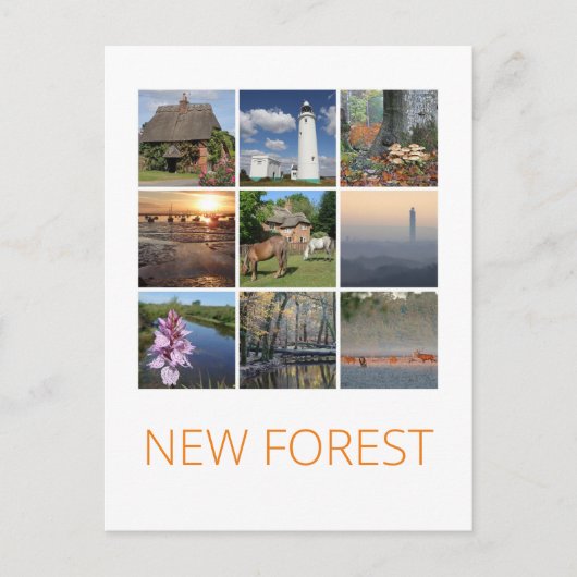 Nieuw bos briefkaart (Voorkant)