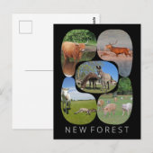 Nieuw bos briefkaart (Voorkant / Achterkant)