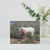 Nieuw bos merrie en veulen briefkaart (Staand voorkant)