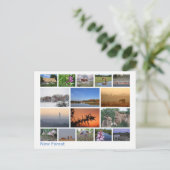 Nieuw bos met meerdere afbeeldingen 2 briefkaart (Staand voorkant)