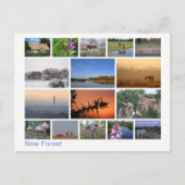 Nieuw bos met meerdere afbeeldingen 2 briefkaart (Voorkant)