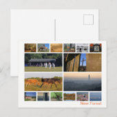 Nieuw bos met meerdere afbeeldingen briefkaart (Voorkant / Achterkant)