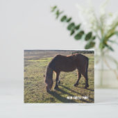 Nieuw bos Pony2 Briefkaart (Staand voorkant)