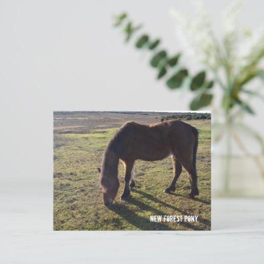 Nieuw bos Pony2 Briefkaart (Staand voorkant)
