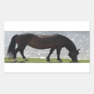Nieuw Bos pony grazen door een zonnig meer Rechthoekige Sticker