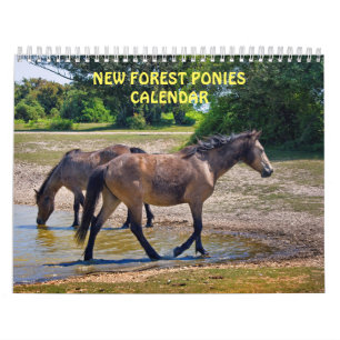 Nieuw Bos Pony Kalender