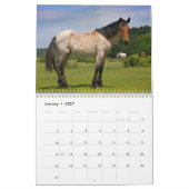 Nieuw Bos Pony Kalender (Jan 2027)