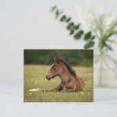 Nieuw bosareaal briefkaart (Staand voorkant)