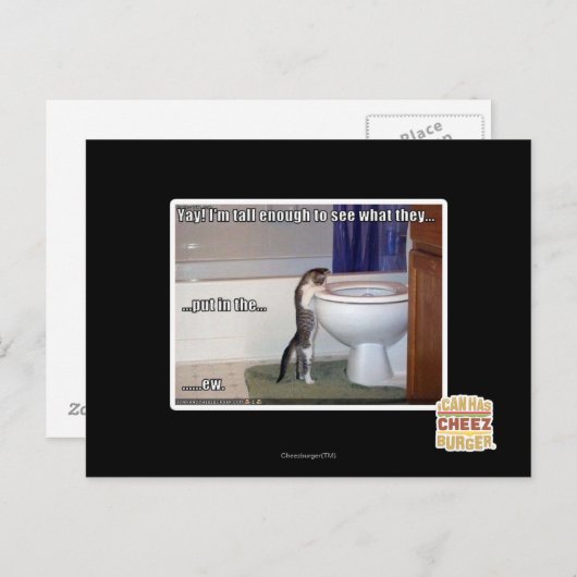 nieuw briefkaart (Voorkant / Achterkant)