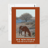 Nieuw briefkaart in de soort Forest 1920s (Voorkant / Achterkant)