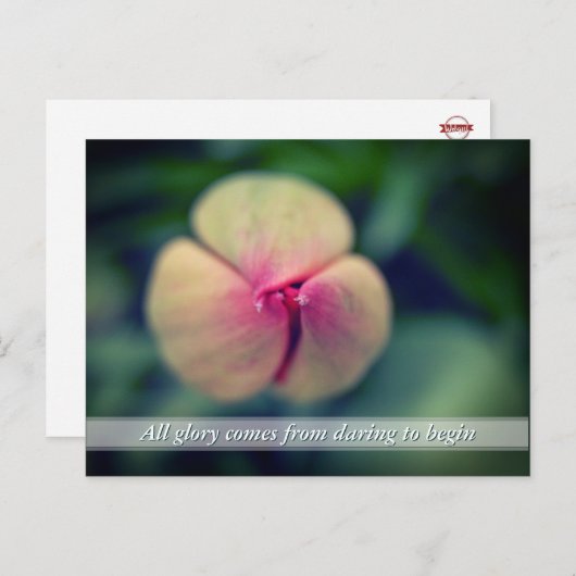 Nieuw Briefkaart van begin lentetulp (Voorkant / Achterkant)