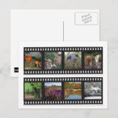 Nieuw briefkaart van de filmstrip van de Bosbouw (Voorkant / Achterkant)