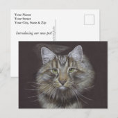 Nieuw Briefkaart voor kennisgeving van gezelschaps (Voorkant / Achterkant)