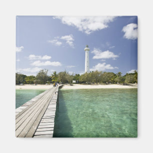 Nieuw-Caledonië, Amedee Islet. Amedee Islet Pier. Magneet