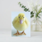 Nieuw dekreuken briefkaart (Staand voorkant)