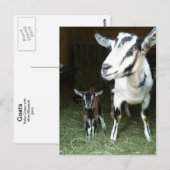 Nieuw Doelen met Mom Goat Briefkaart (Voorkant / Achterkant)