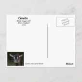 Nieuw Doelen met Mom Goat Briefkaart (Achterkant)
