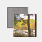 Nieuw Engeland Herfst 127 Magneet (Voorkant / Achterkant)