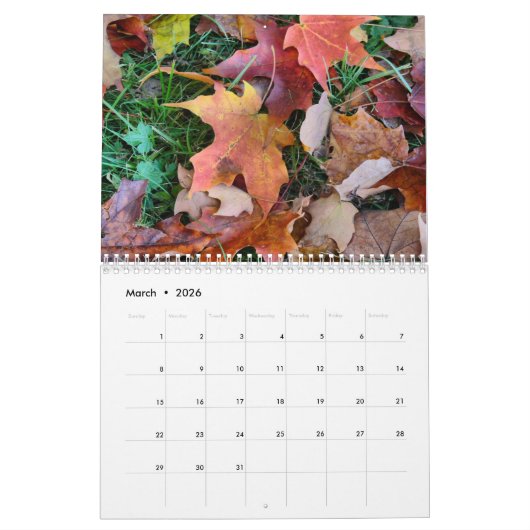 Nieuw-Engeland in het najaar van de winter 2023 Kalender (Mar 2026)