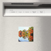 NIEUW ENGELAND MAGNEET (Insitu (Vaatwasser))