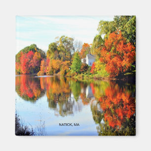 NIEUW ENGELAND MAGNEET