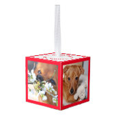 Nieuw familielid Introductie Decoratie (Achter hoekig)