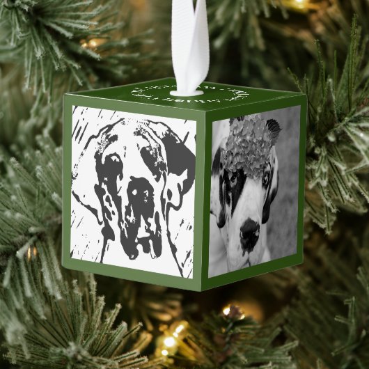 Nieuw familielid Introductie Decoratie (Boom)