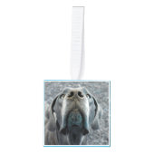 Nieuw familielid Introductie Decoratie (Voorkant)