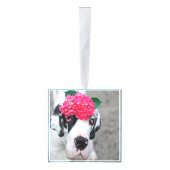 Nieuw familielid Introductie Decoratie (Rechts)