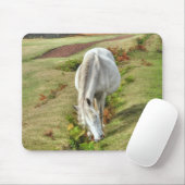 Nieuw Forest Pony Horse-lover's UK Animal Muismat (Met muis)