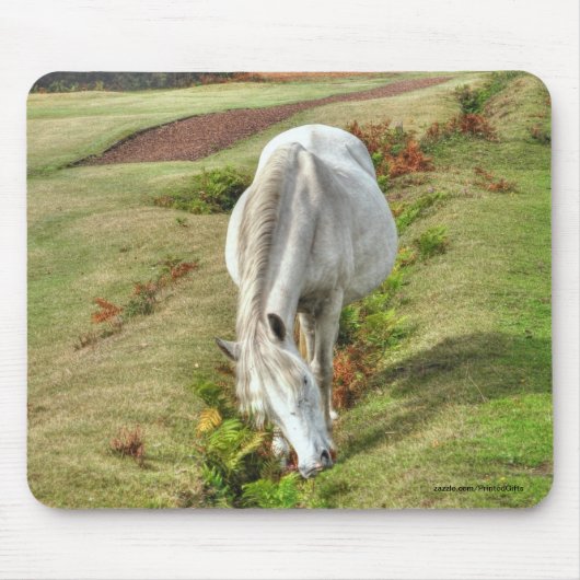 Nieuw Forest Pony Horse-lover's UK Animal Muismat (Voorkant)