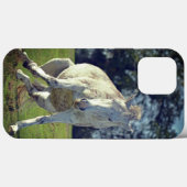 Nieuw Forest White Pony Funny Pose Case-Mate iPhone Case (Achterkant (horizontaal))