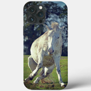 Nieuw Forest White Pony Funny Pose Case-Mate iPhone Case