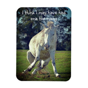 Nieuw Forest White Pony Funny Pose Magneet
