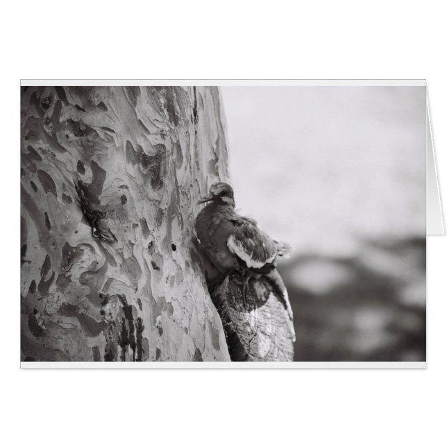 Nieuw Geboren (Voorkant Horizontaal)