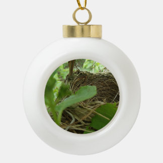 Nieuw gebouwd maar leeg vogelnestje in een meerboo keramische bal ornament