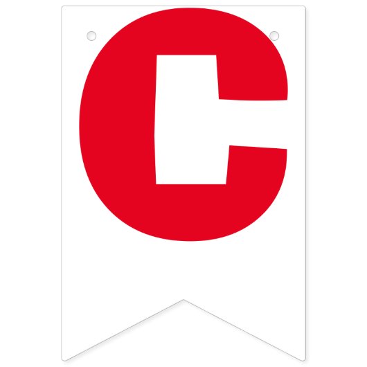 NIEUW! Gefeliciteerd Party Banner - 16 Vlaggen en  (Eerste vlag)