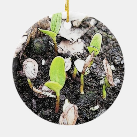 Nieuw gesproete zaailingen keramisch ornament (Achterkant)