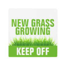 NIEUW GRAS BLIJFT GROEIEN