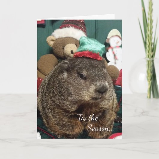 Nieuw! Groeikaartje voor de groet van Groundhog Mo Feestdagen Kaart (Voorkant)