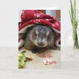 Nieuw! Groundhog Carrie Holiday Greeting Card Feestdagen Kaart