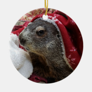 NIEUW!  Groundhog Carrie kerstsierant 2 Keramisch Ornament