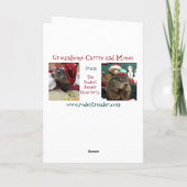 NIEUW!! Groundhog-kerstkaart B Feestdagen Kaart (Achterkant)